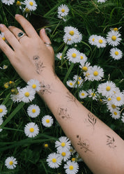 Floral Pack (2x)