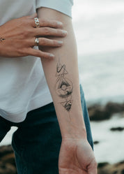 The Four Elements