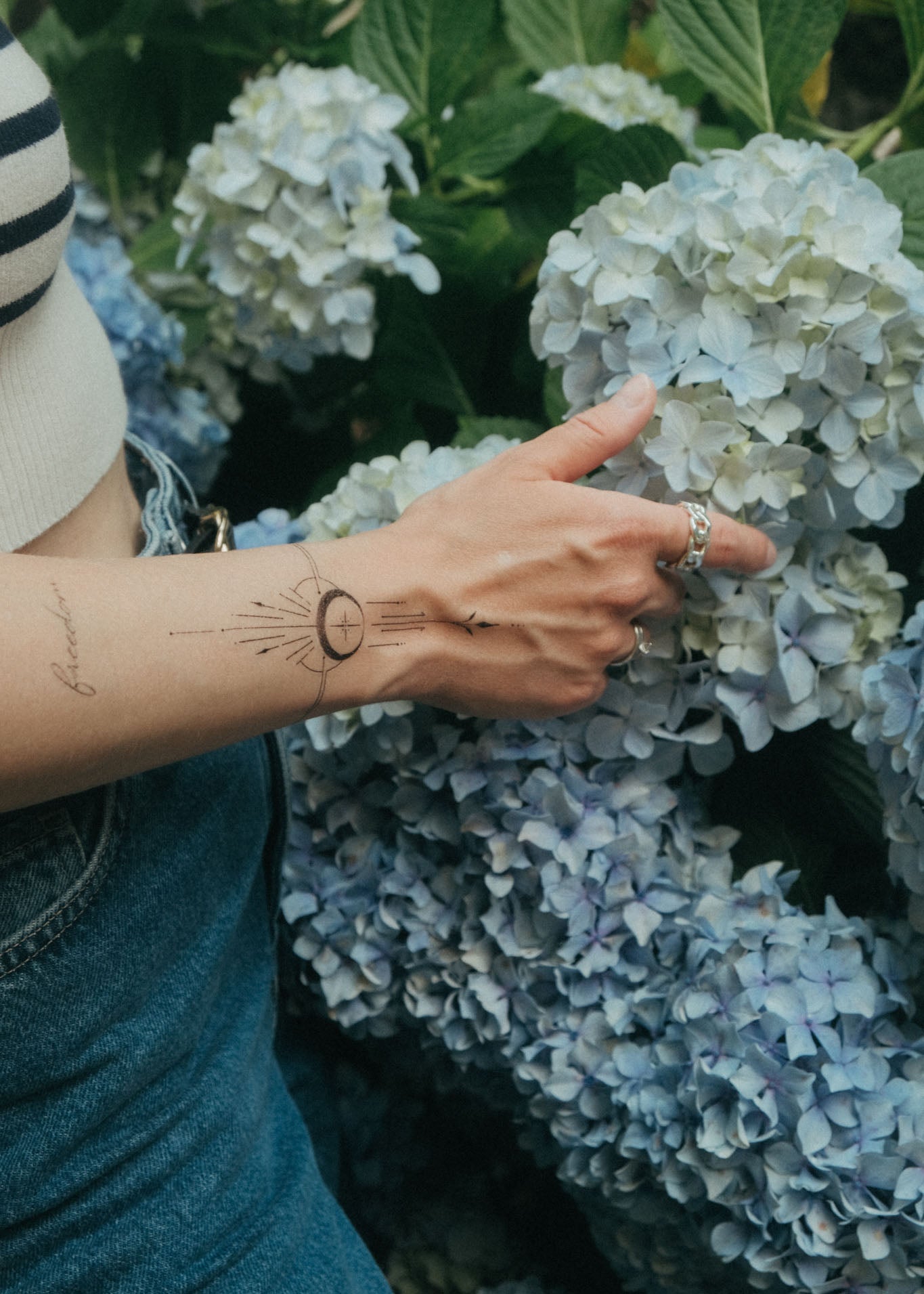 Fine Line