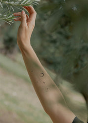 Aries Constellation