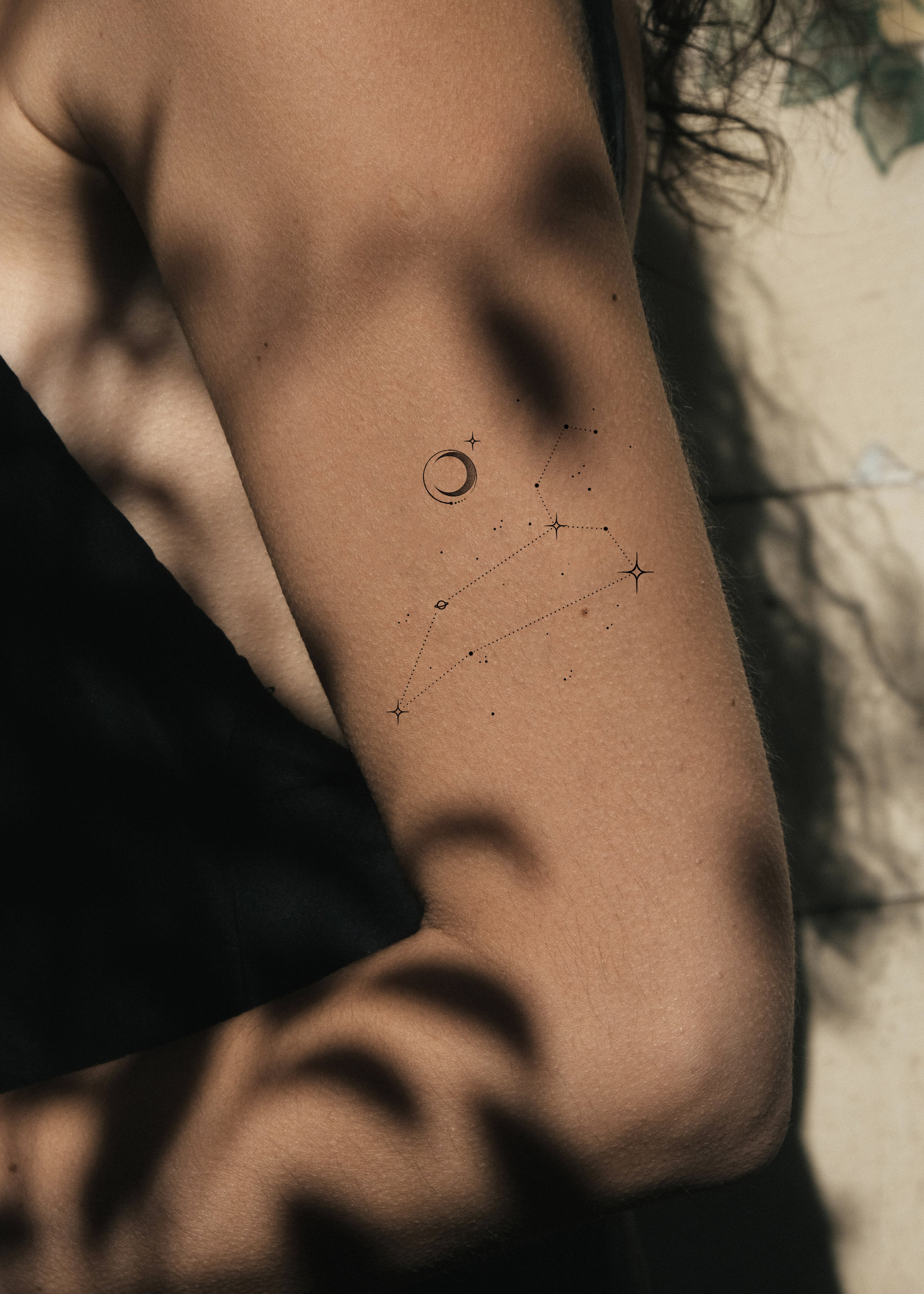 Leo Constellation