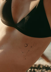 Pisces Constellation